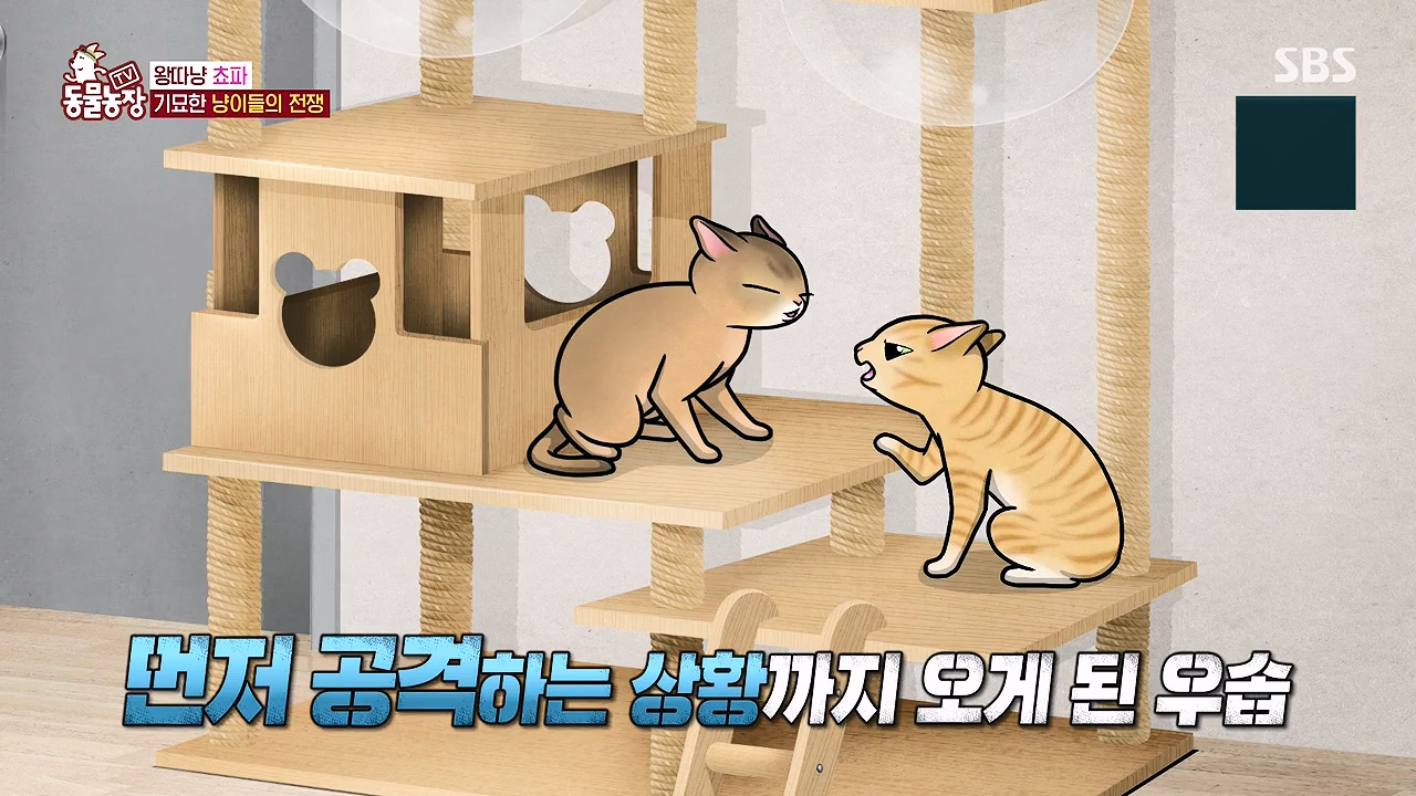 TV 동물농장.E1137.230911p-NEXT.mp4_20230910_183217.659.jpg