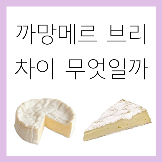 까망베르 브리 차이 무엇일까 썸네일