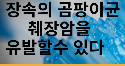 췌장암의 숨겨진 곰팡이