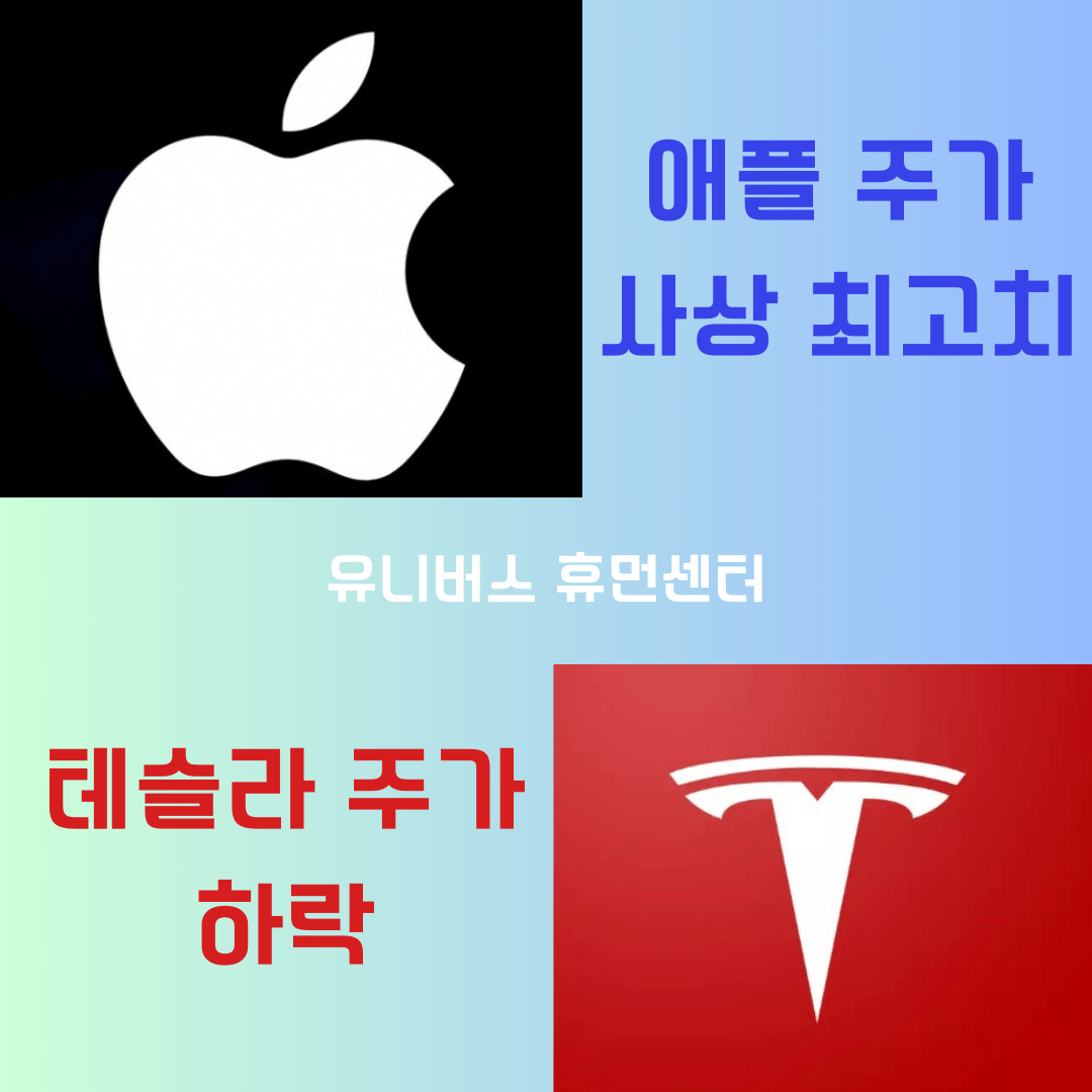  애플 주가는 사상 최고치 달성,  테슬라 주가는 하락