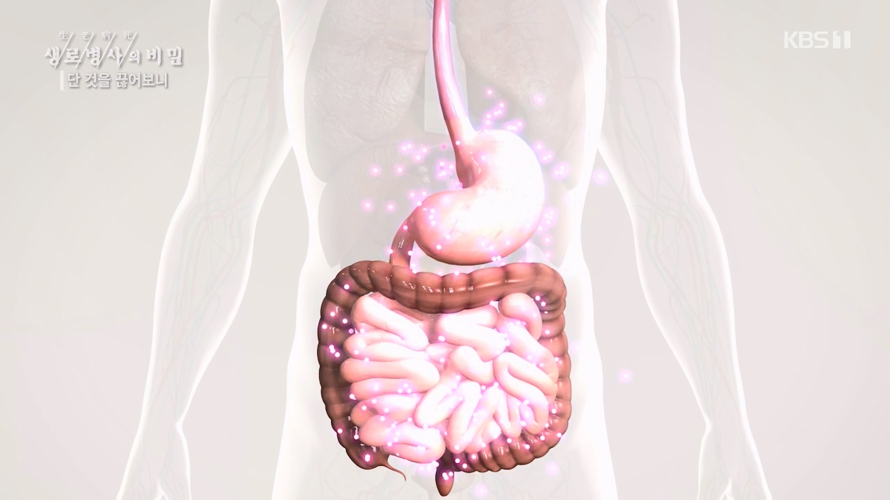 생로병사의 비밀.E877.230727p-NEXT.mp4_20230727_222742.264.jpg