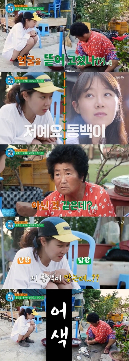  "2년새 늙었나"...공효진, 죽도서 인지도 굴욕 "동백이 아냐, 뜯어 고쳤나"('오늘무해')