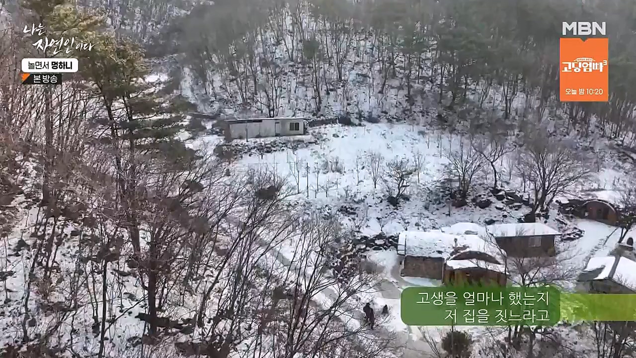 나는 자연인이다.E538.230126p-NEXT.mp4_20230126_194012.835.jpg