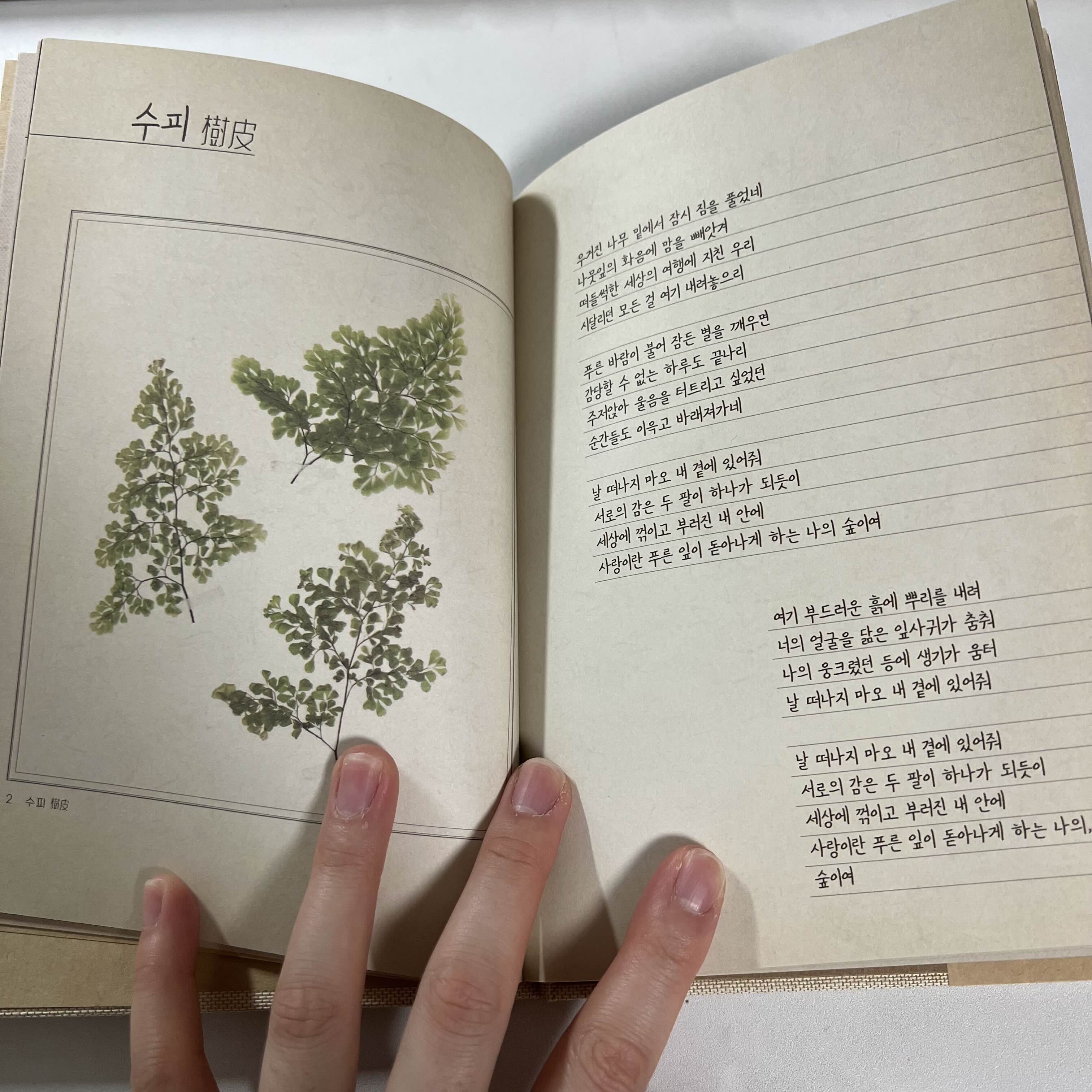 수피 가사