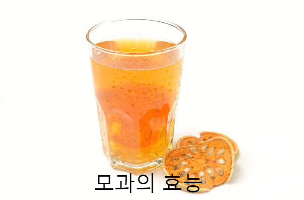 모과차 효능