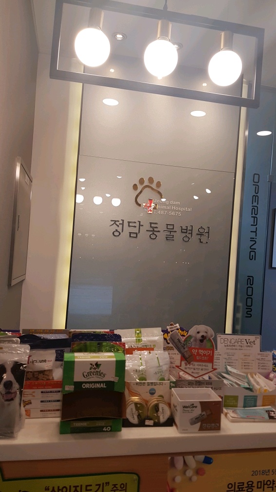 강아지 건강검진을 받았어요 대전동물병원 첫 방문 4