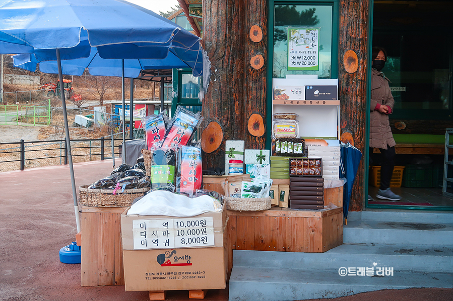 동해바다 볼거리 양양 휴휴암 27