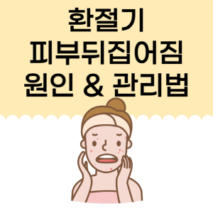  환절기 피부 뒤집어짐 건조 원인 관리 방법