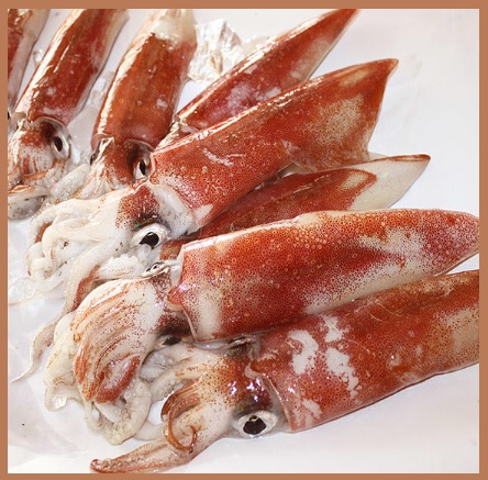 한치