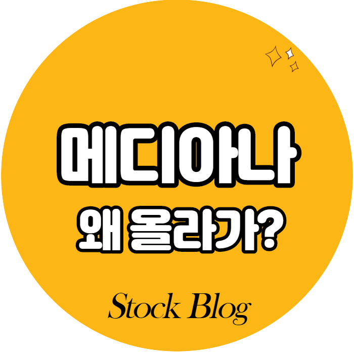  메디아나 - 어떤 기업인가요? 급등이유/기업분석
