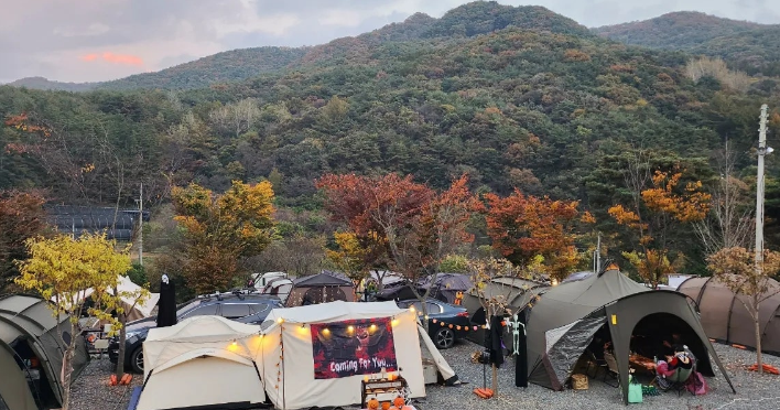 할로윈데이 캠핑