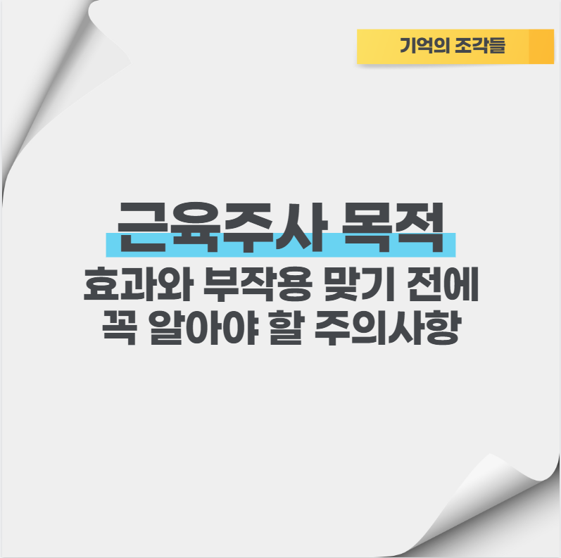 근육주사 목적 효과와 부작용 맞기 전에 꼭 알아야 할 주의사항