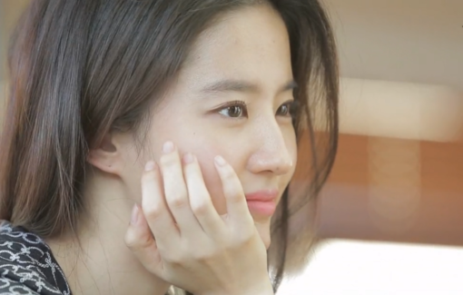  유역비 홍콩 논란