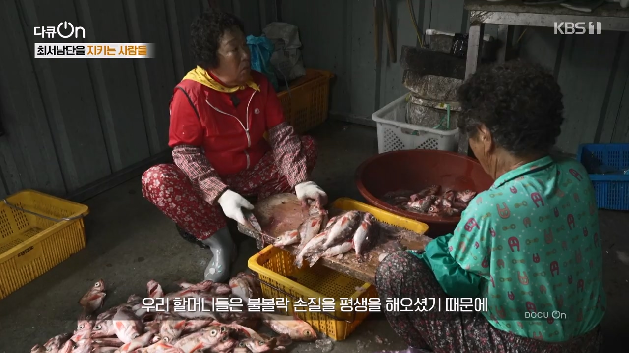 다큐 온.E209.230806p-NEXT.mp4_20230806_171255.952.jpg