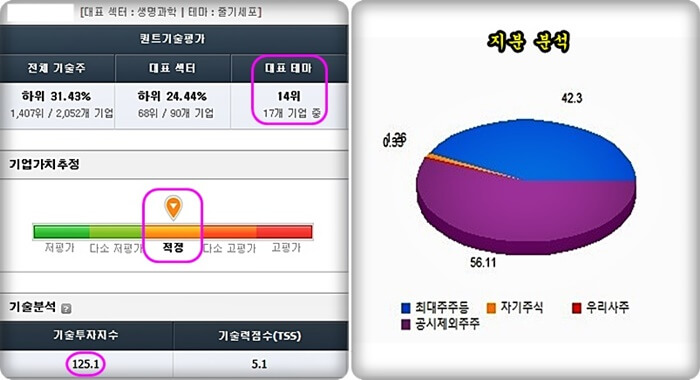 기업가치-지분-분석