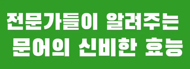 전문가들이 알려주는 문어의 신비한 효능