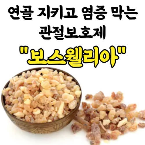  무릎 연골 관절에 좋은 보스웰리아 효능 부작용 섭취 시 주의사항/Boswellia