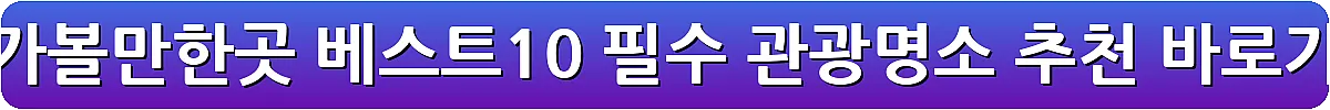 완도 가볼만한곳 베스트10 필수 관광명소 추천_20