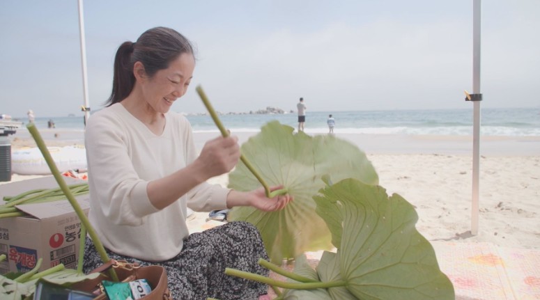 한국기행-고성-두례마을