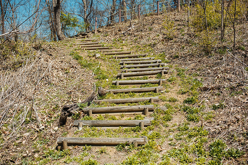 봄철&#44; 등산로의 나무 계단.