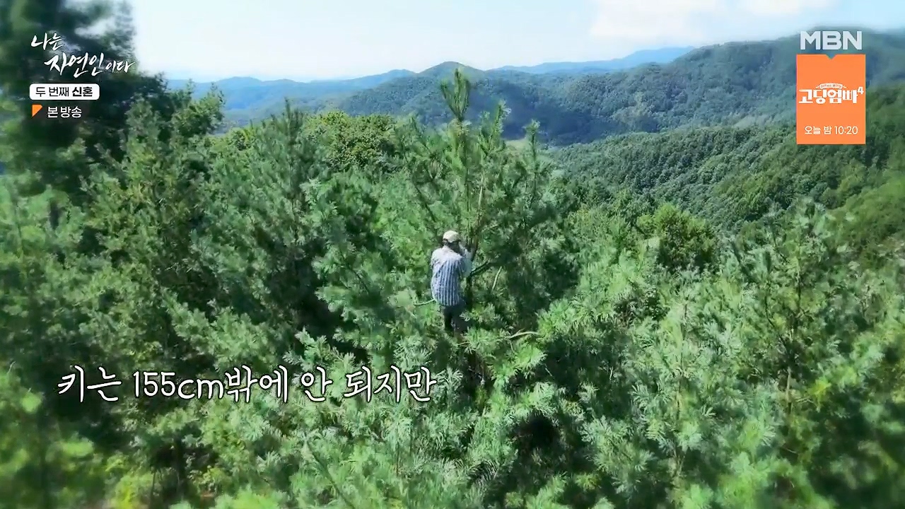 나는 자연인이다.E572.230921p-NEXT.mp4_20230921_202628.322.jpg