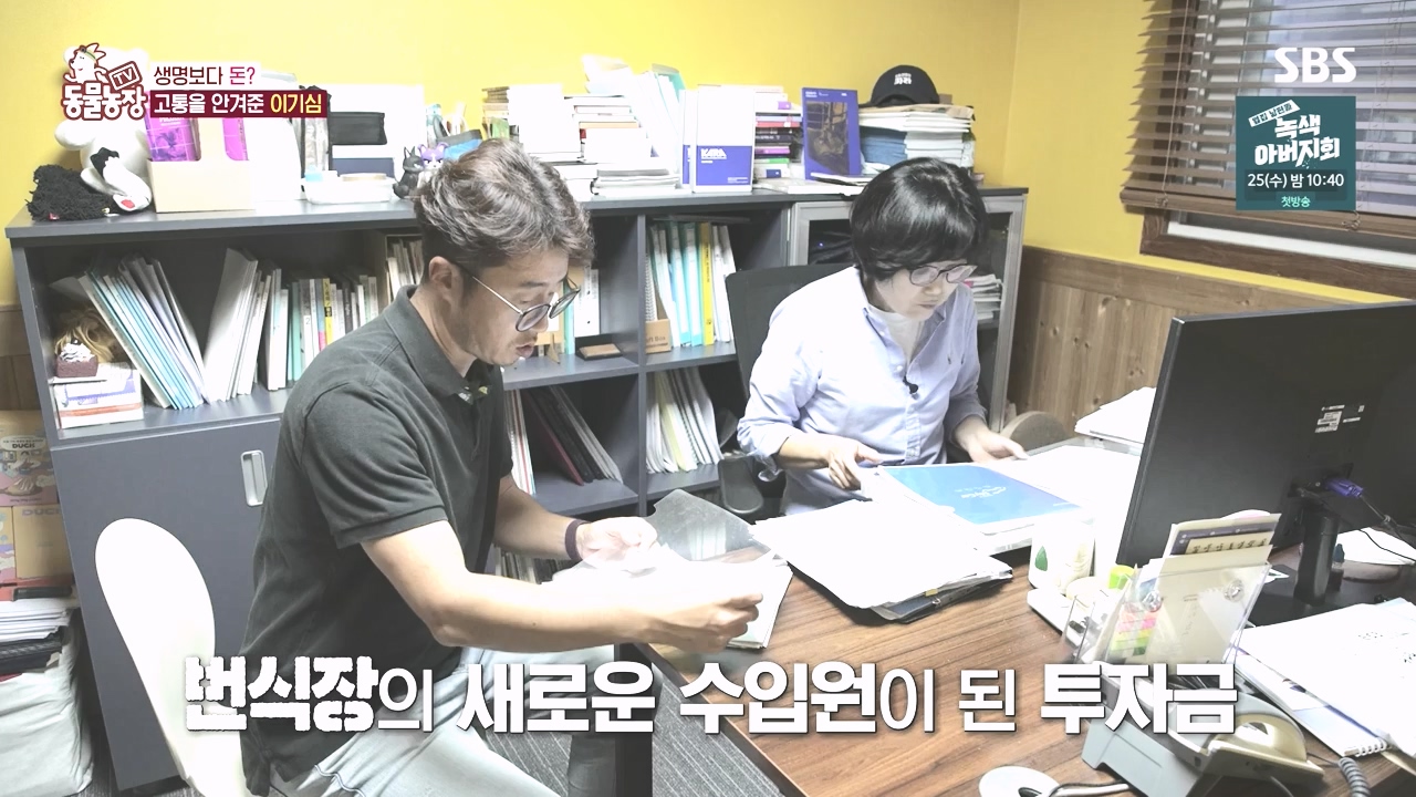 TV 동물농장.E1142.231023p-NEXT.mp4_20231022_174017.968.jpg