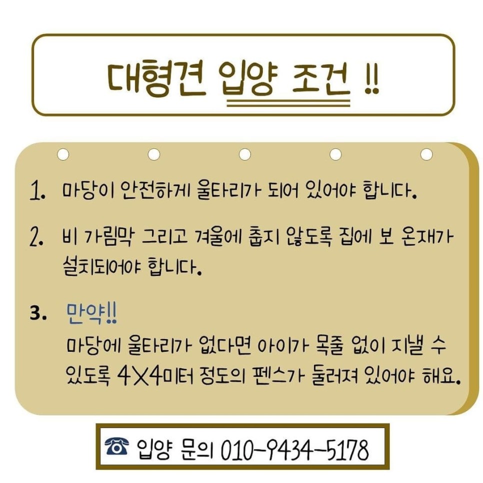 순둥이 록키의 가족찾기 대형견 유기견입양 말라뮤트 7