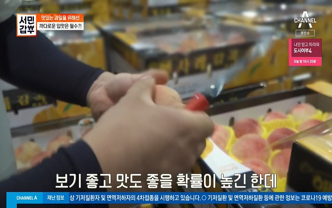 독한인생 서민갑부.E399.220904p-NICE.mp4_20220904_165308.497.jpg