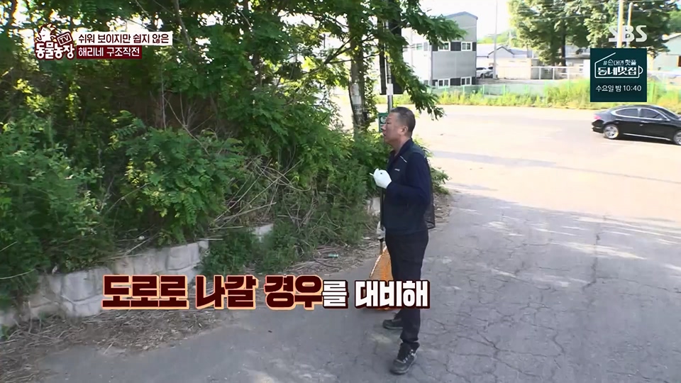 TV 동물농장.E1124.230611p.H264-F1RST.mp4_20230611_173539.380.jpg