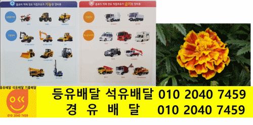  용인 경유배달 포곡읍 경유배달 가실리 경유배달 금어리 경유배달 둔전리 경유배달 마성리 경유배달 삼계리 경유배달 신원리 경유배달 영문리 경유배달 유운리 경유배달 전대리 경유배달