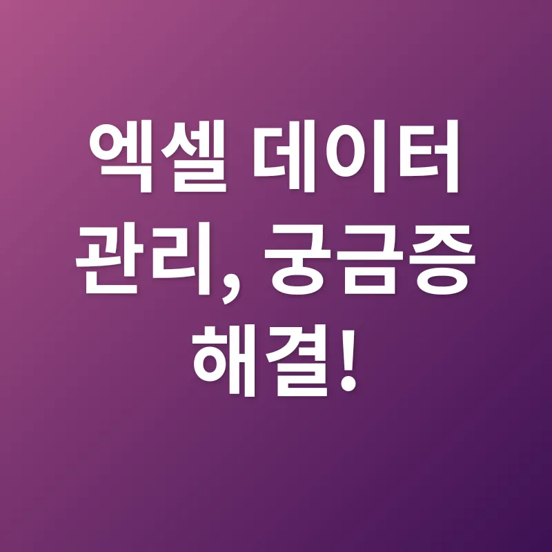 엑셀 데이터 관리_4