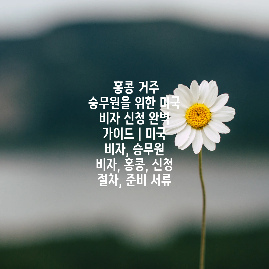  홍콩 거주 승무원을 위한 미국 비자 신청 완벽 가이드