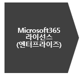 Microsoft365(오피스 365) 라이센스 대규모 기업용