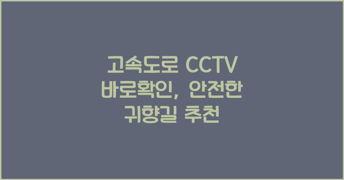 고속도로 cctv 바로확인