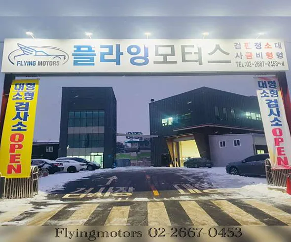 플라잉모터스