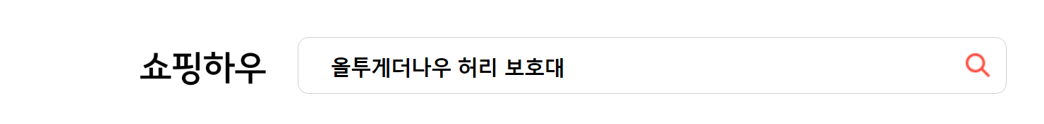 허리 보호대 추천