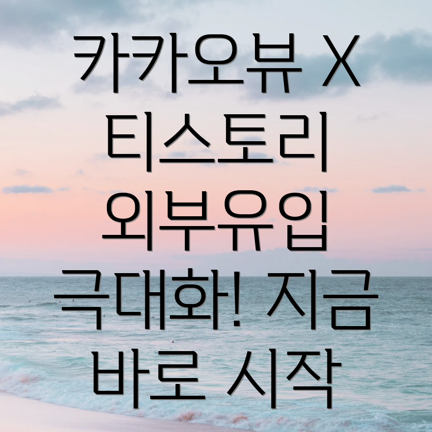 카카오뷰 티스토리 유입