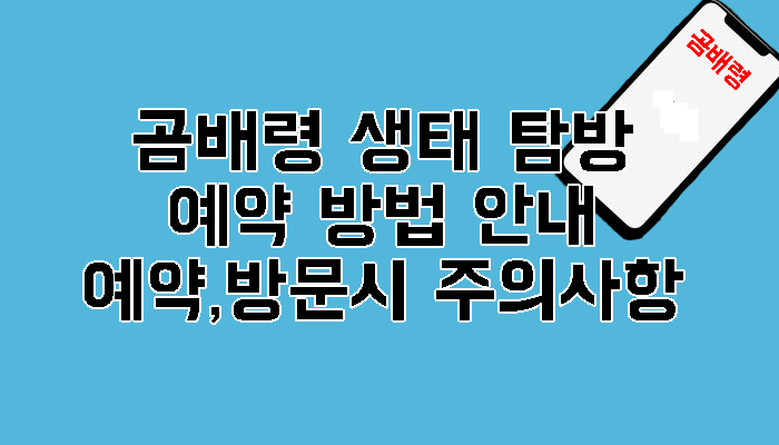 곰배령 예약 생태탐방예약 점봉산 곰배령예약안내