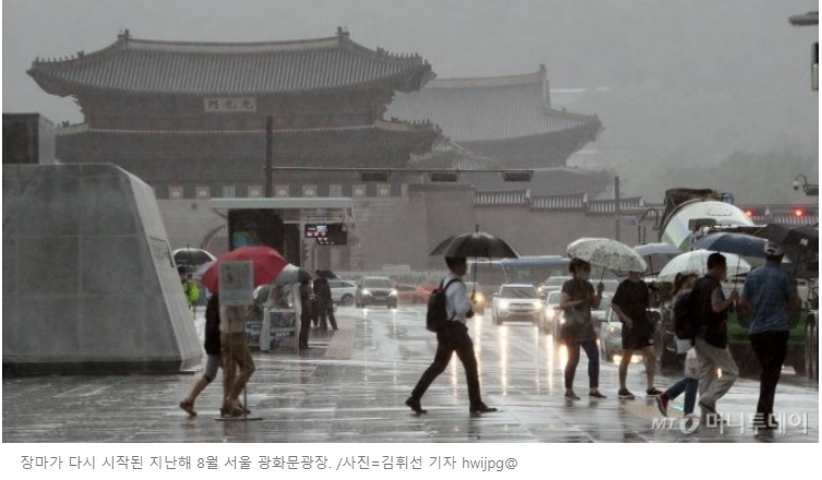  [알면 돈] "우산도 관리가 필요"