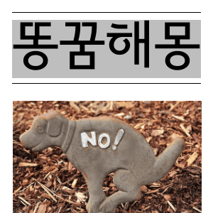 똥꿈해몽