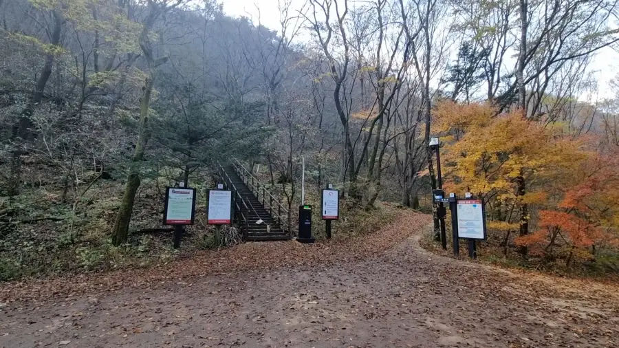 내장산 케이블카 코스