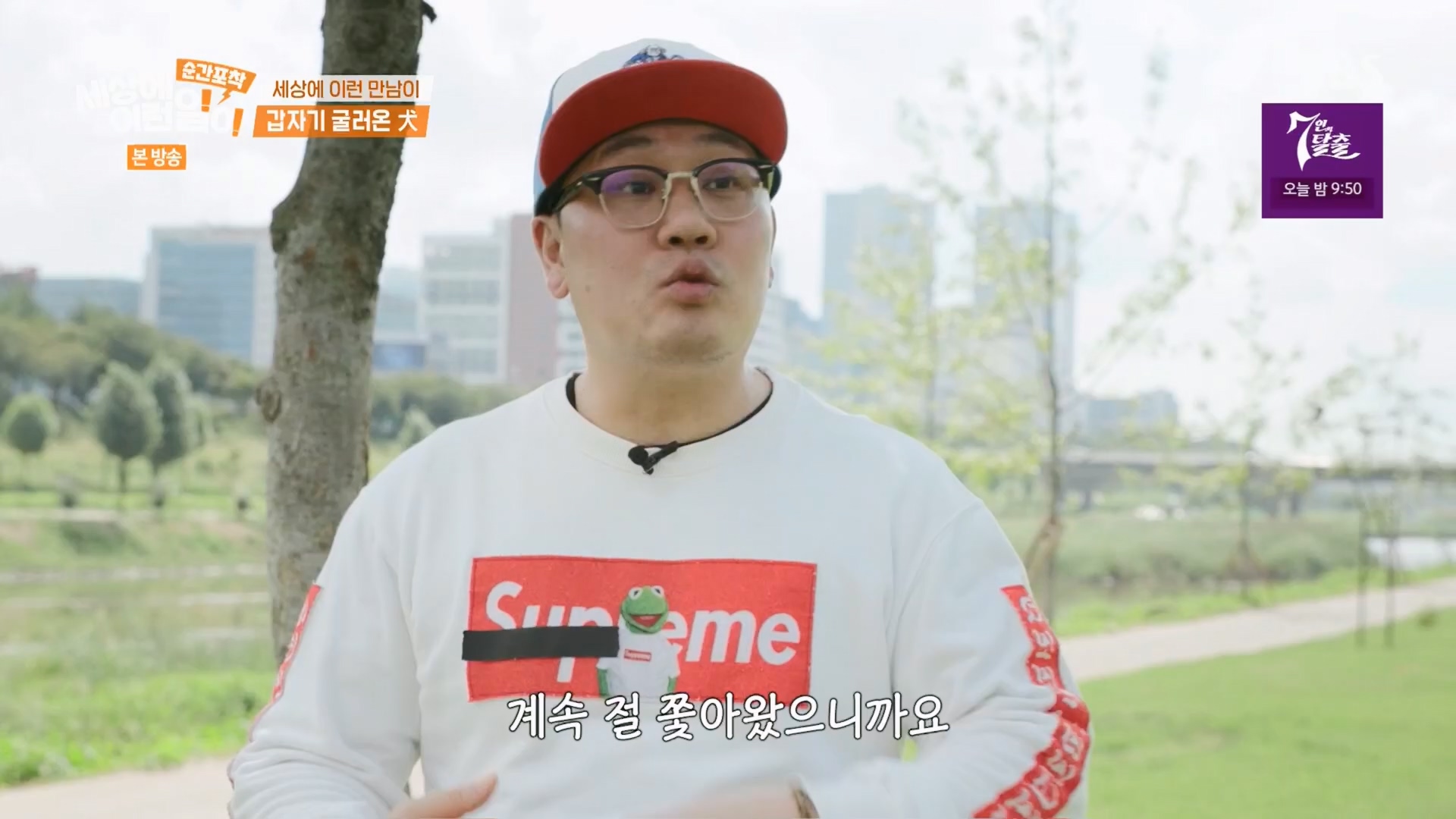 순간포착 세상에 이런일이.E1247.230923p.H264-F1RST.mp4_20230924_152704.020.jpg