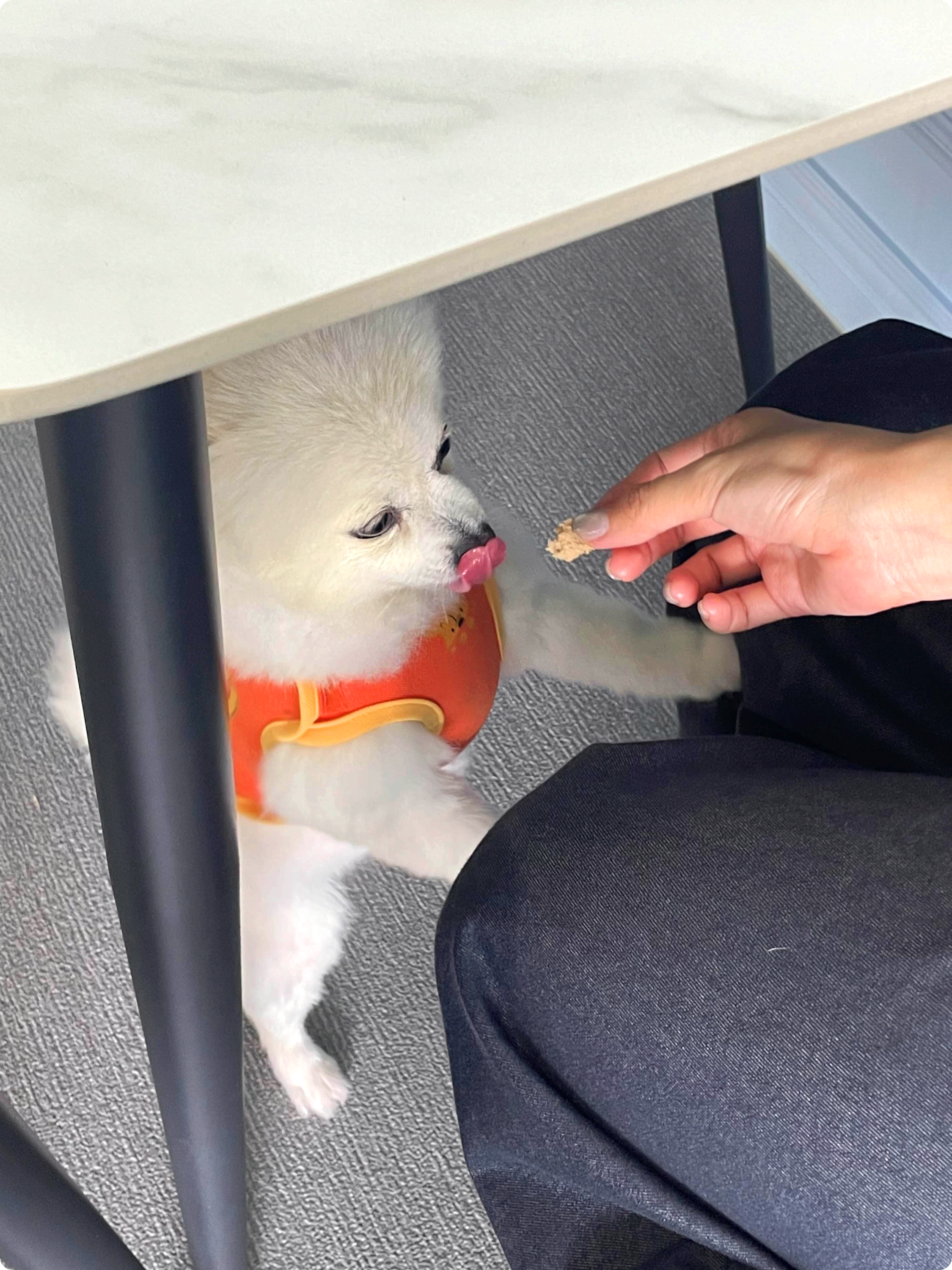 요미
