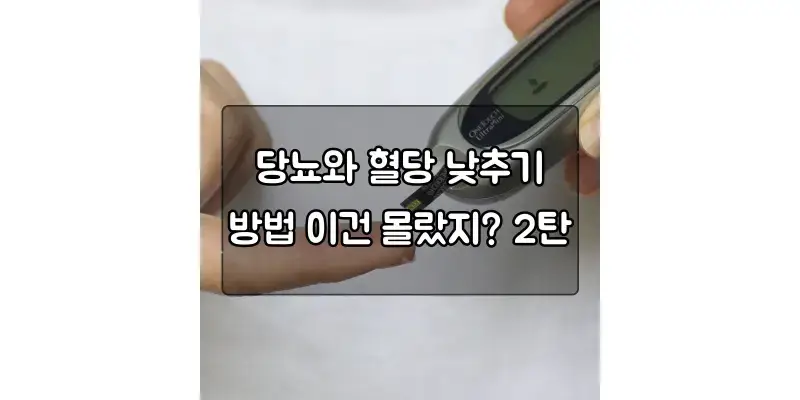  당뇨병 건강관리: 영양요법 및 운동요법 가이드