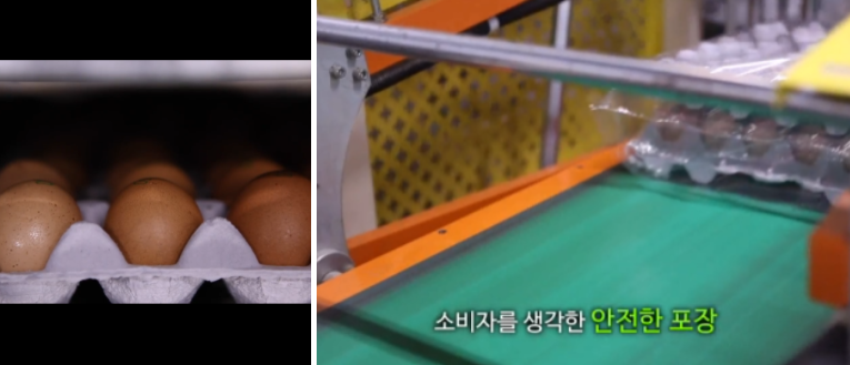 생생정보통 맛집오늘방송 정보