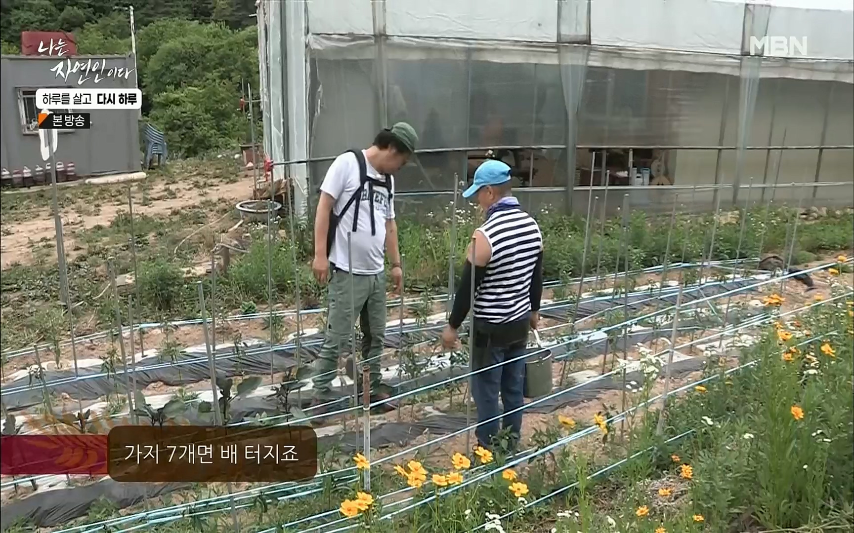 나는 자연인이다.E509.220706p.H264-F1RST.mp4_20220707_183722.478.jpg
