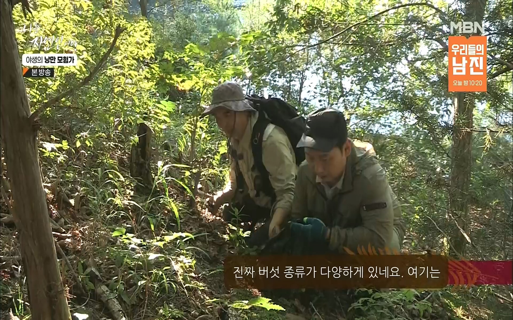 나는 자연인이다.E520.220921p.H264-F1RST.mp4_20220922_202747.289.jpg