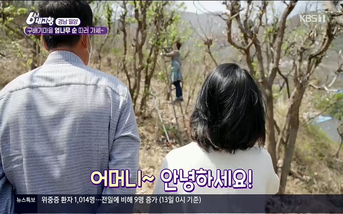 6시 내고향.E7510.220414p.H264-F1RST.mp4_20220419_185732.494.jpg