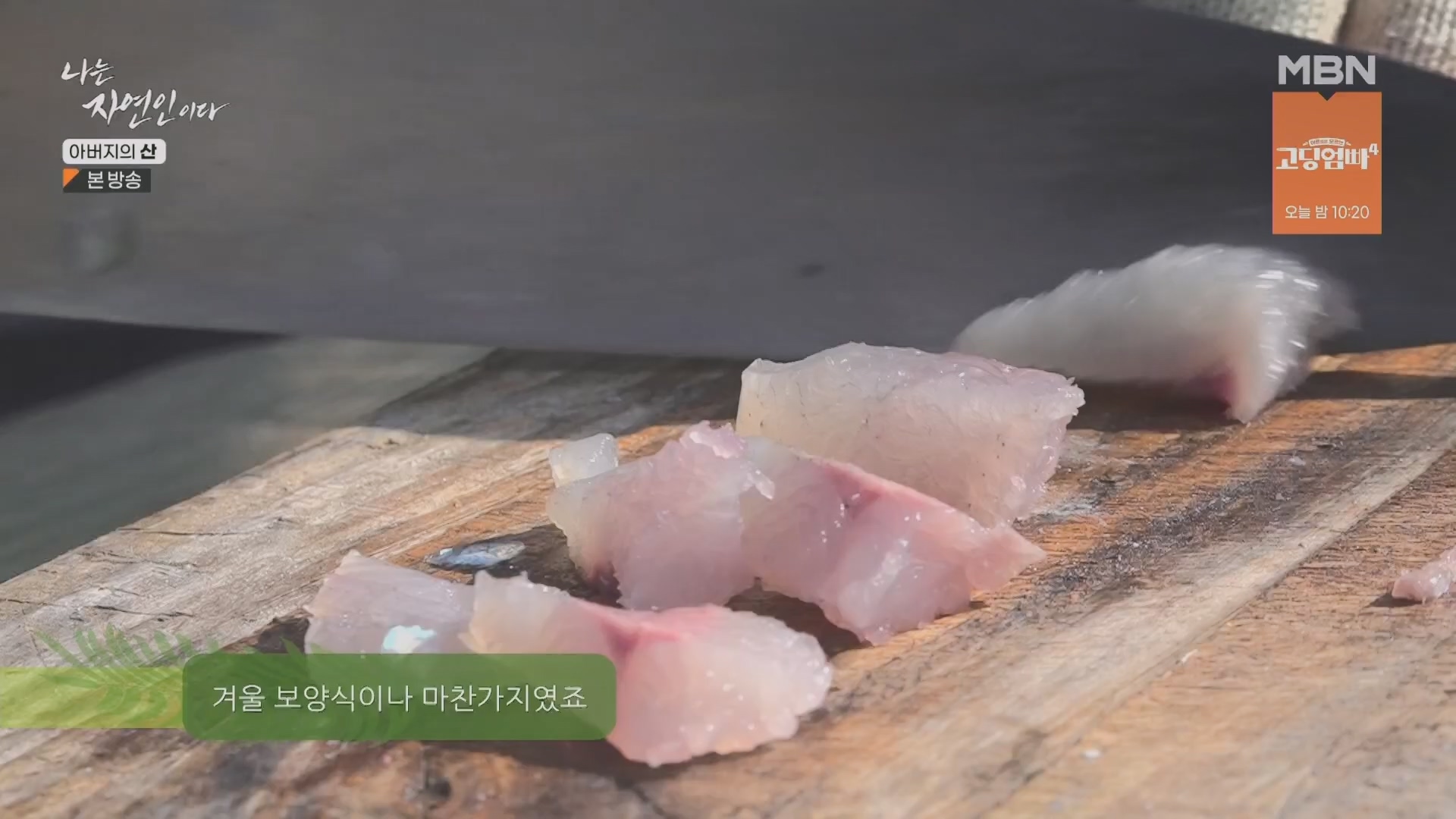 나는 자연인이다.E595.240228p.H264-F1RST.mp4_20240229_200116.764.jpg