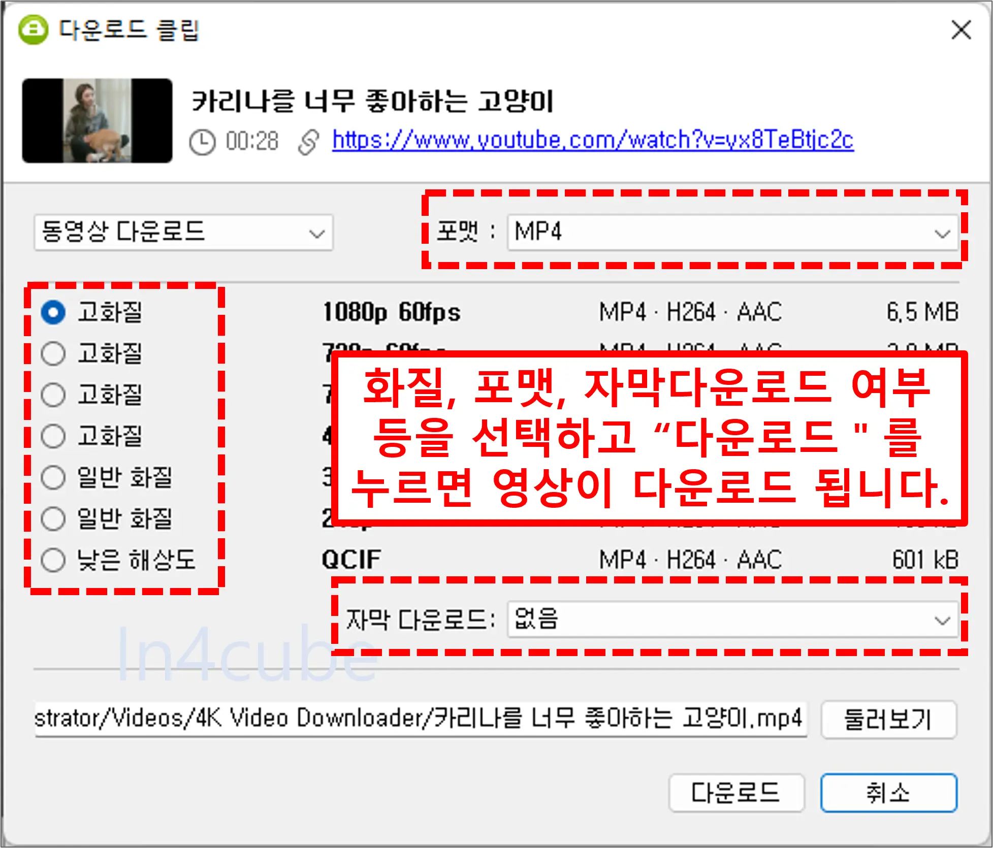 4K-Video-Downloader-다운로드-옵션